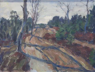 Heidewegn